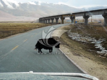 青藏公路 青藏铁路