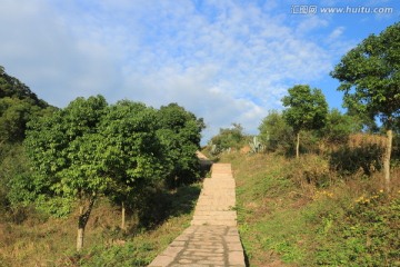 海岛小路