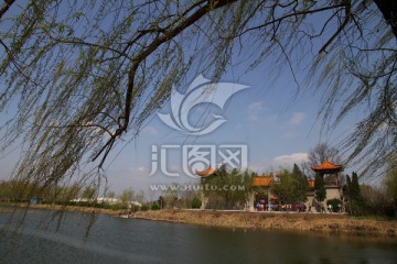 湿地风光