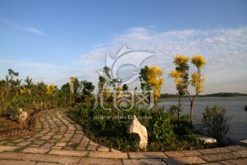 小路 树木 公园