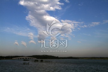 湿地风光