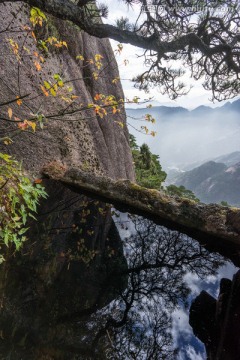 黄山山谷中的池塘 竖片