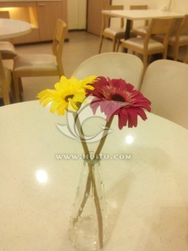 餐桌装饰花