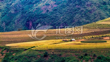 田园美景