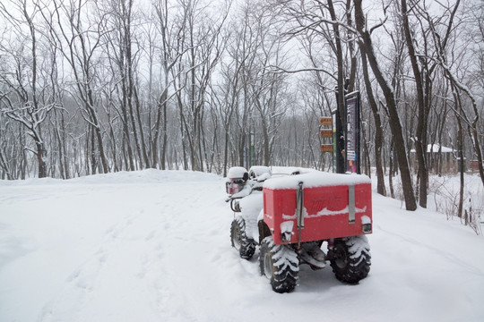 树林 雪路