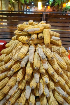 农家院风格餐厅装饰