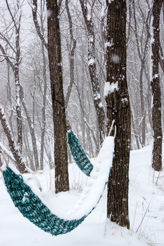 树林休闲区雪景