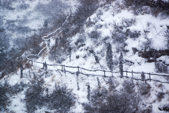 雪景 树林 小路