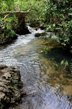 山泉激流