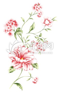 清秀小花