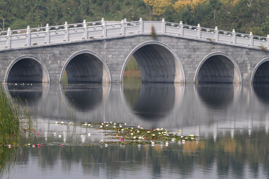 湿地公园