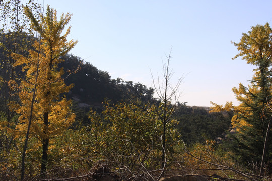 秋季大山风景