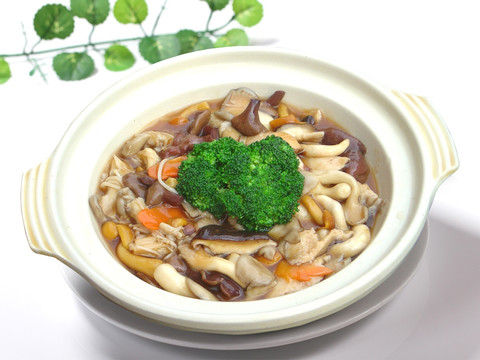 鲍汁杂菌煲