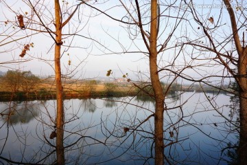 湖泊风景