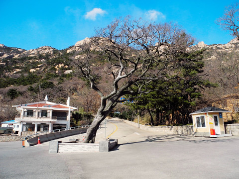 青岛崂山太清宫宫前广场