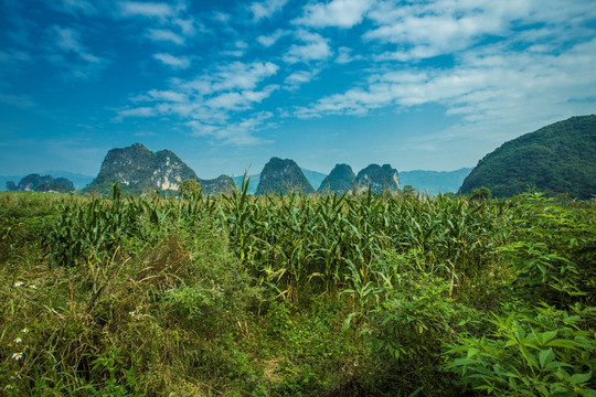 英西峰林