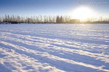 冬雪