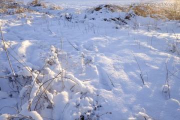 冬雪