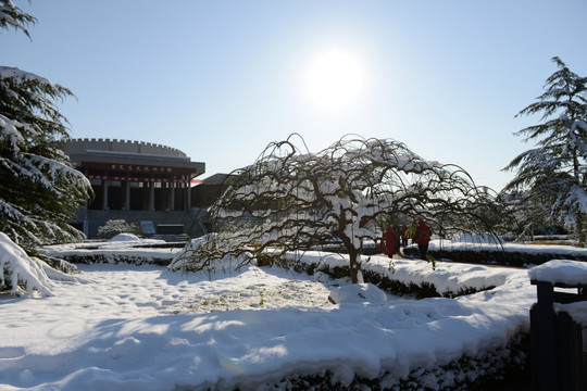 台儿庄大战纪念馆 雪景