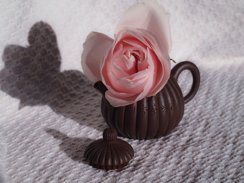 茶壶 玫瑰花