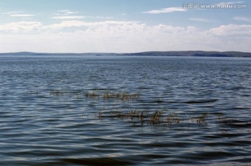 内蒙古呼伦湖 湖水和水草