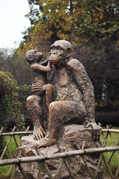 雕塑 猴