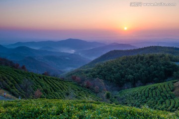 山野 日出