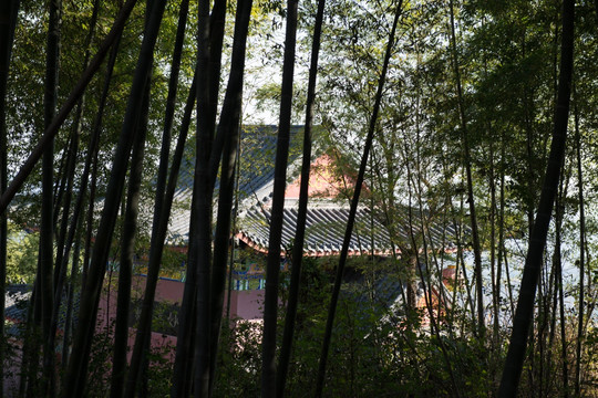 竹林寺院