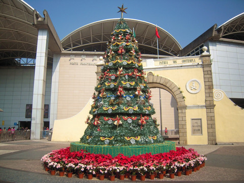 2015年澳门关闸的圣诞树