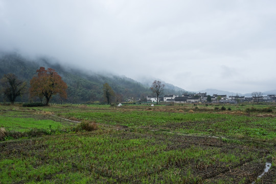 塔川秋色