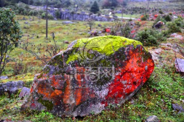 苔藓红石