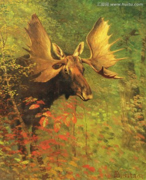 鹿 动物油画