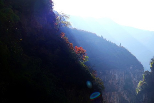 神女溪 峡谷 红叶树