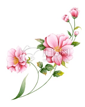 粉花