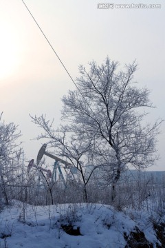 冬天 白雪 磕头机