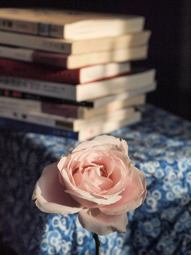 一摞书 玫瑰花