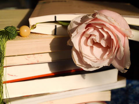 一摞书 玫瑰花
