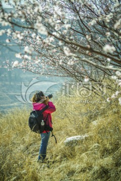 美女 桃花 春天