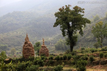乡村小景