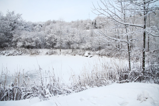 雪野