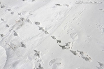 雪痕 白雪 脚印