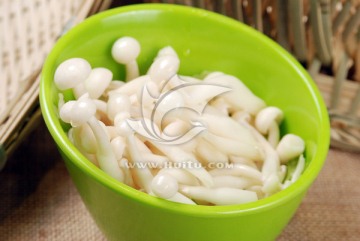 白玉菇