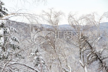 雪景 苍茫山区