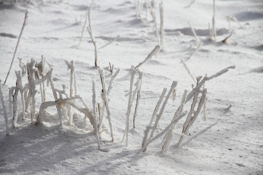 旷野雪地 雪地纹理