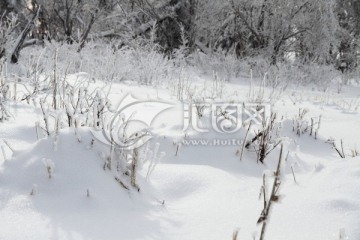 雪地 雪素材