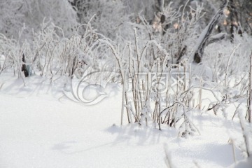 雪地 雪素材