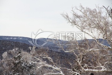 东北林区 北国风光