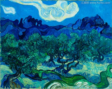梵高风景画 橄榄树