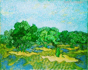 梵高风景画 橄榄树林