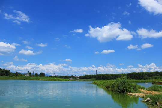 晴空万里